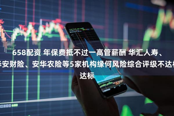 658配资 年保费抵不过一高管薪酬 华汇人寿、华安财险、安华农险等5家机构缘何风险综合评级不达标